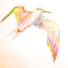 Entregate Ao Amor - Vale Do Capao Fev15