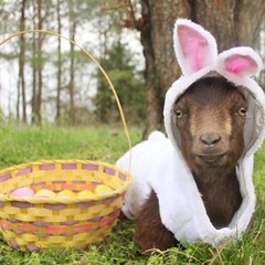 Radical Franklin Mixtape 001