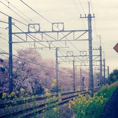 Stream shit music | Listen to songs, albums, playlists for free on