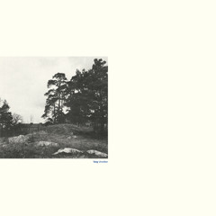Varg - Agngatan 24