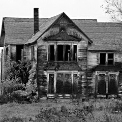 Trappn Out The Bando