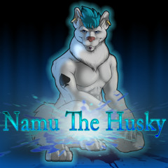 Neilrex Husky - Namu The Husky (Original Mix)