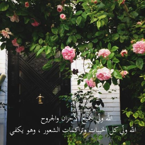 والله ما مال الفؤاد لغيركم  - رامي محمد