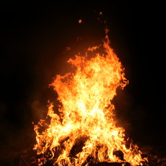 Love´s Burning Wild