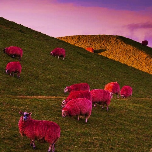 Insomnie [Prod by Aelpéacha]
