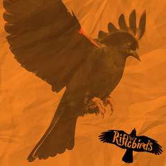 Blackbird by The Beatles (Original Cover) OFFICIAL