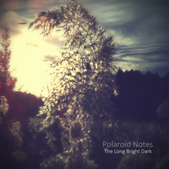 Polaroid Notes - The Long Bright Dark EP