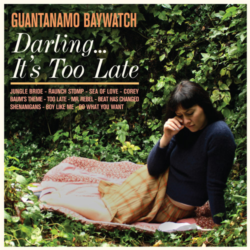 Do What You Want by Guantanamo Baywatch