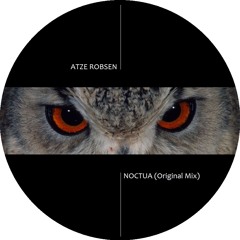 Noctua (Original Mix)