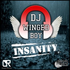 DJ Winged Boy - Insanity (SET)