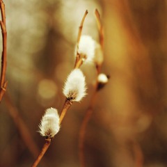 Hypnotize The Ghetto (feat. Tupac Shakur, Elvis Presley & B.I.G.)