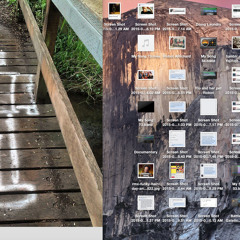 No Folders (NoWife)