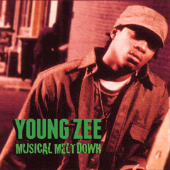 Young Zee - Musical Meltdown CD/Tape (Snippets)