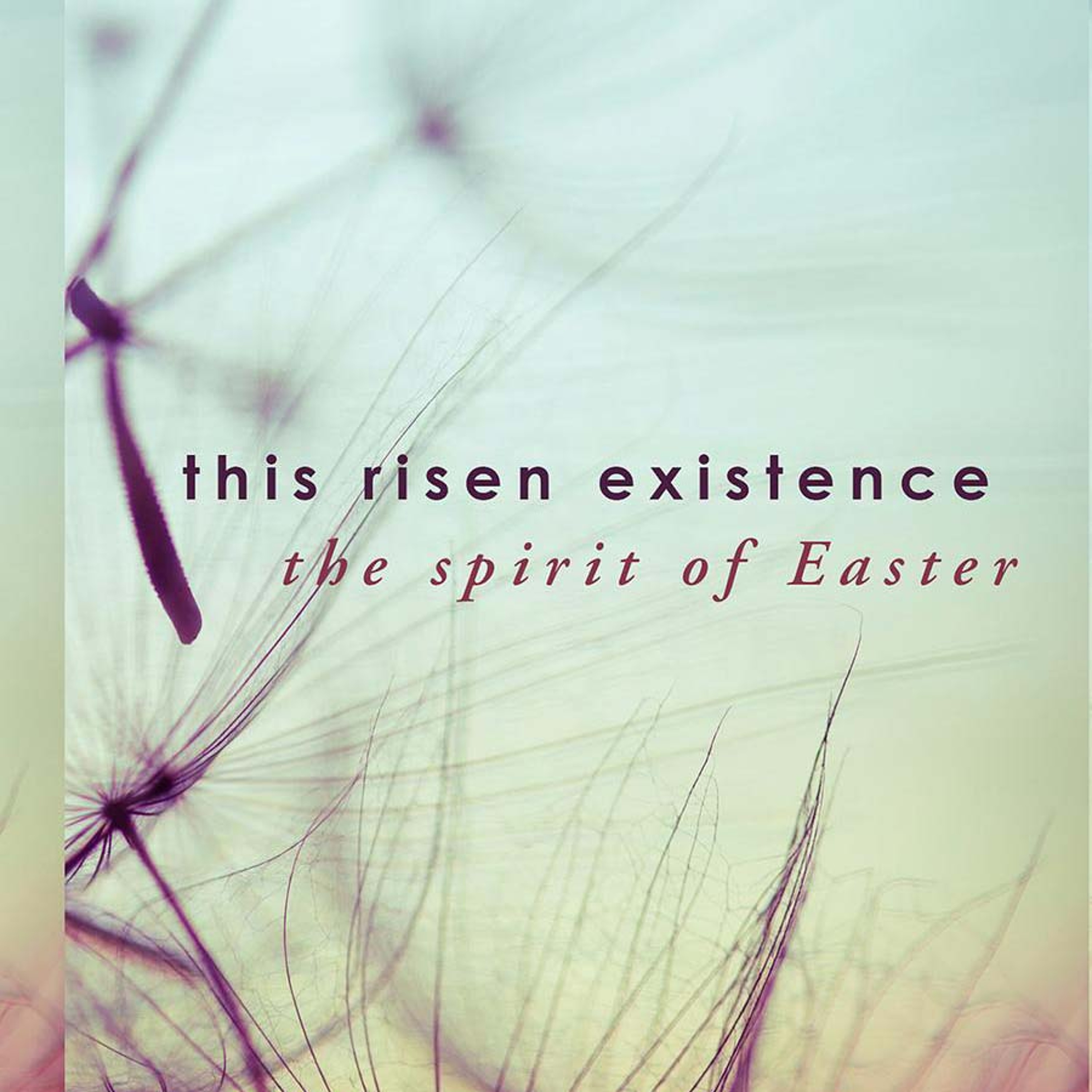 Introducing This Risen Existence with Paula Gooder episode artwork