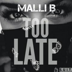 6.Malli-B - Too Late (prod. Novascotia)