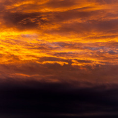 Amanecer (Versión 2010)