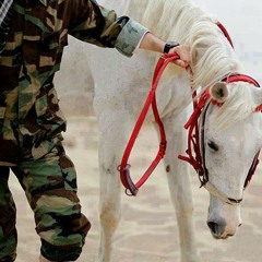 يا ريت ما رجعت Islam Shokry By Islam Shokry