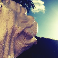 Falling by SkyShouter!