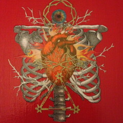 vert vie - futuro y ojos al pasado 2006