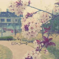 소찬휘, 헤어지는 기회 (Elin jeong. Cover)