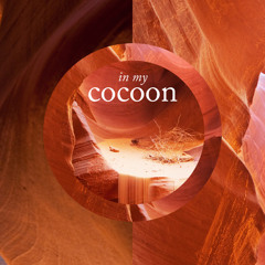 In my cocoon