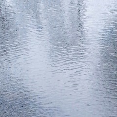 The Murder That Started It All