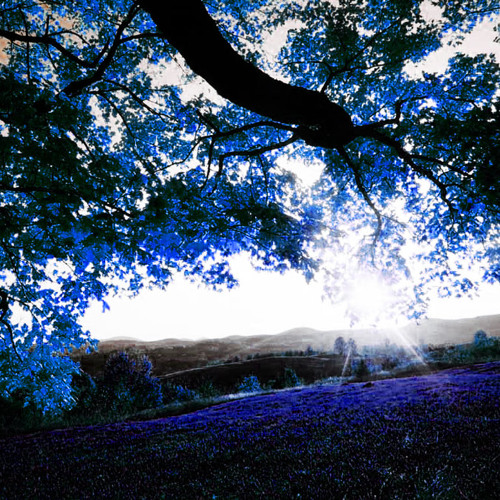 Trivial - Hanging Tree
