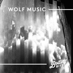 MIXED BY/ WOLF Music