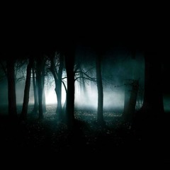 Haunted Forest