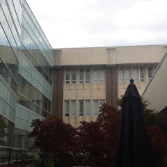 2. New World Order [brutalism]