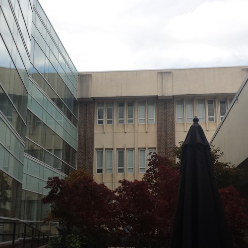 2. New World Order [brutalism]