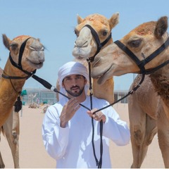 عاصفية في اهداء لهجن العاصفة 2015