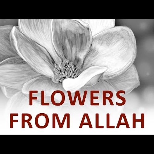 The Beginning and the End with Omar Suleiman - Flowers from Allah (Ep16 )-jeUzRl4SskA