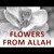 Artwork for The Beginning and the End with Omar Suleiman - Flowers from Allah (Ep16 )-jeUzRl4SskA