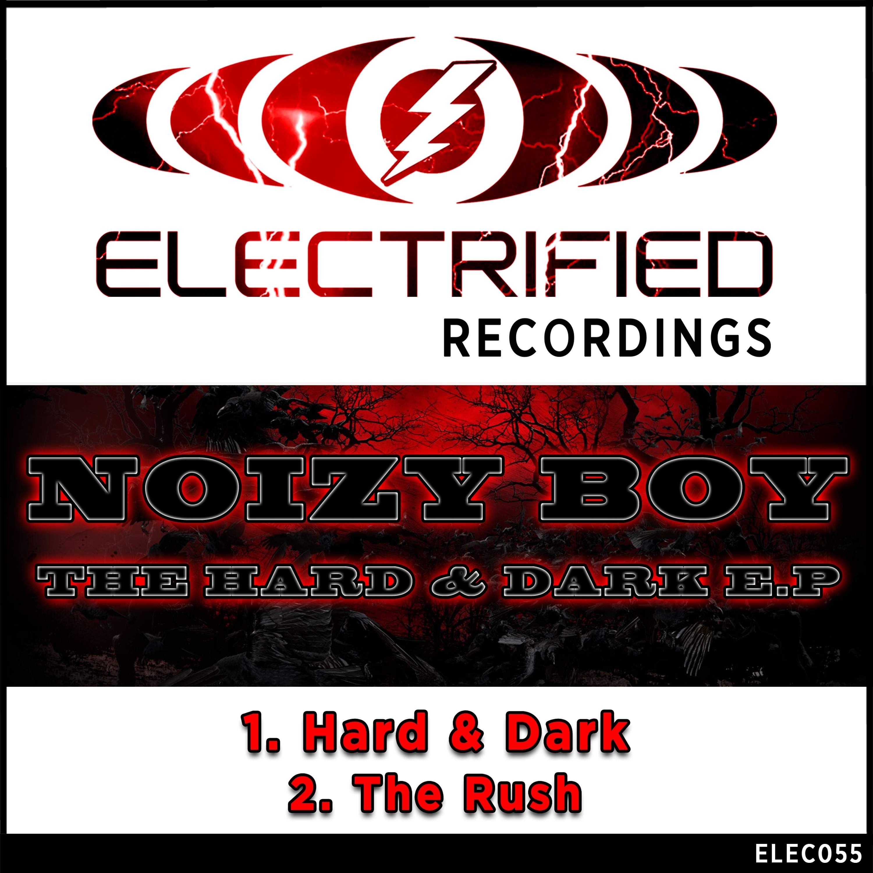 Electrified Recordings