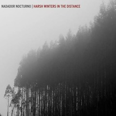 Nadador Nocturno - Silent Exploration