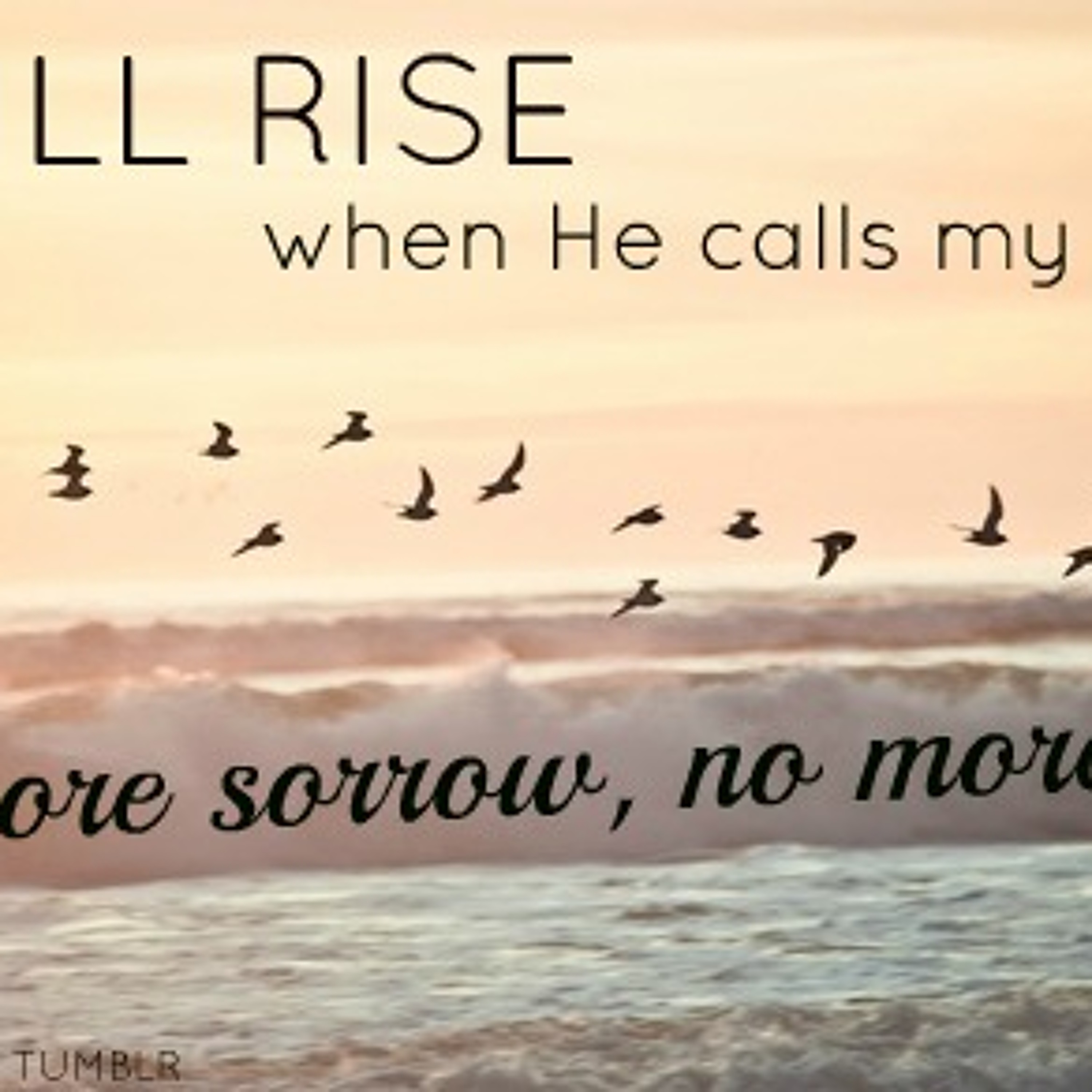 4 - 5-15 - I Will Rise episode artwork