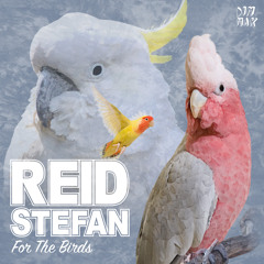 Reid Stefan - For The Birds