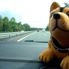 BUTCH NORTON'S THEME