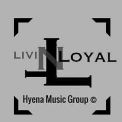 Money zay - No you not