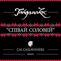 ГАЙДАМАКИ Ft.Cai Caslavinieri - Співай Соловей (Remix)