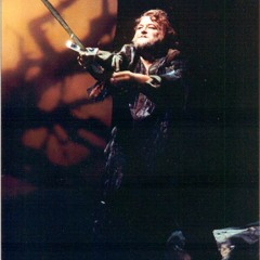 Wagner: Ein Schwert verhiess mir der Vater from Die Walküre