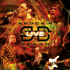 SPOCK'S BEARD - Crack The Big Sky