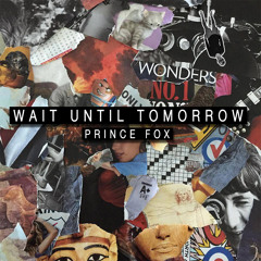 Prince Fox - Wait Until Tomorrow [Thissongissick.com Premiere] [Free Download]