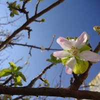 Essa Almarzoug Akher Haba Official Audio عيسى المرزوق اخر حبه أوديو By Saif