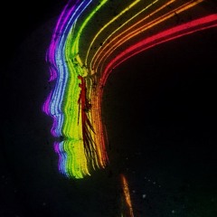 The Light