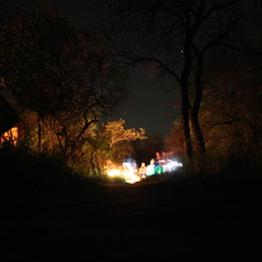 Svev