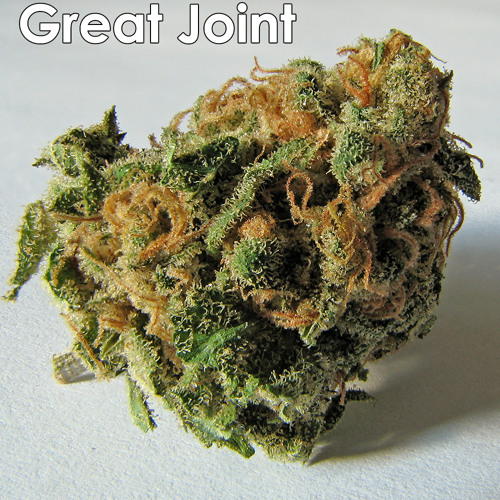 Luca Terzini - Great Joint (Original Mix) | Free Download