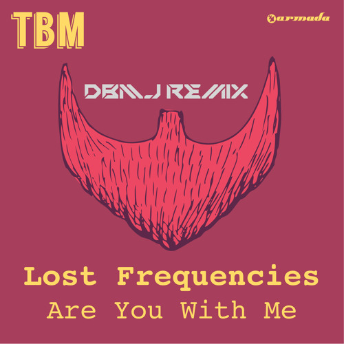 Lost Frequencies - Are You With Me (DBMJ Remix)