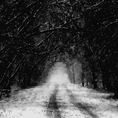Dark Winter Beats